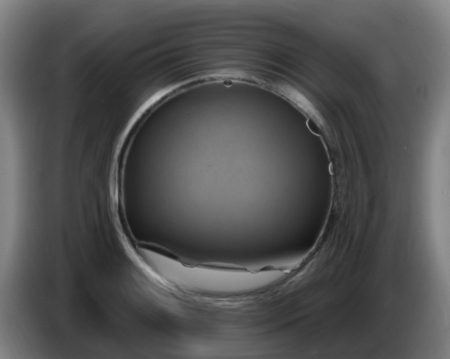 X0000086731084200704201641