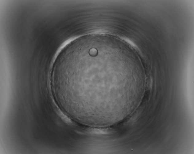 X0000086731086200704201641