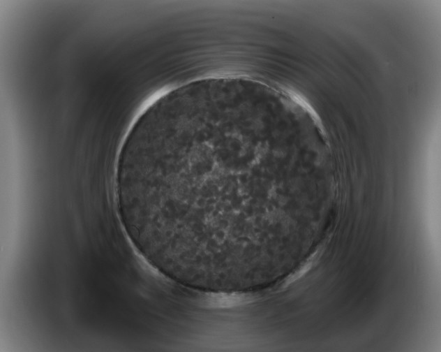 X0000086731087200704201641