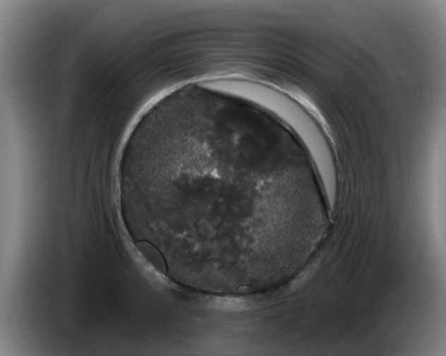 X0000086731088200704201641