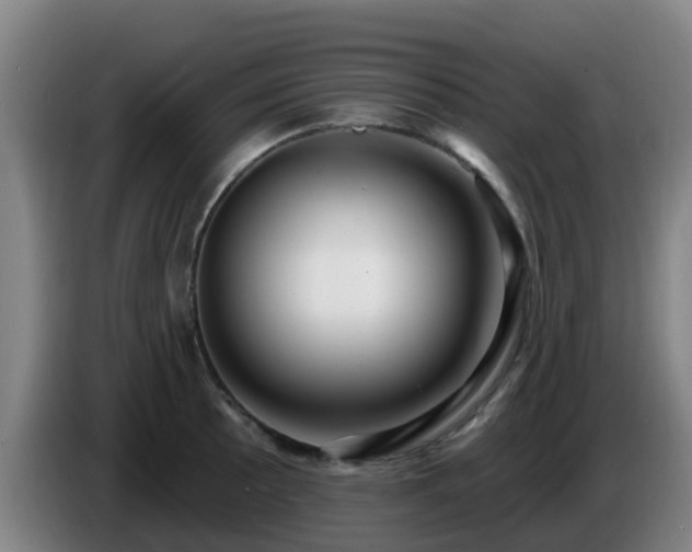 X0000086731089200704201641