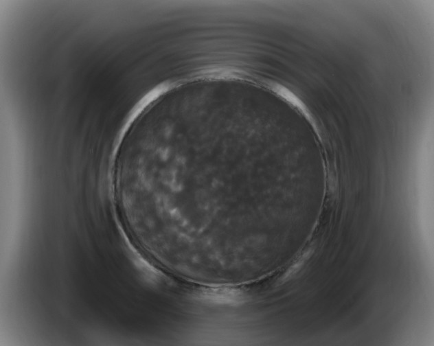 X0000086731090200704201641