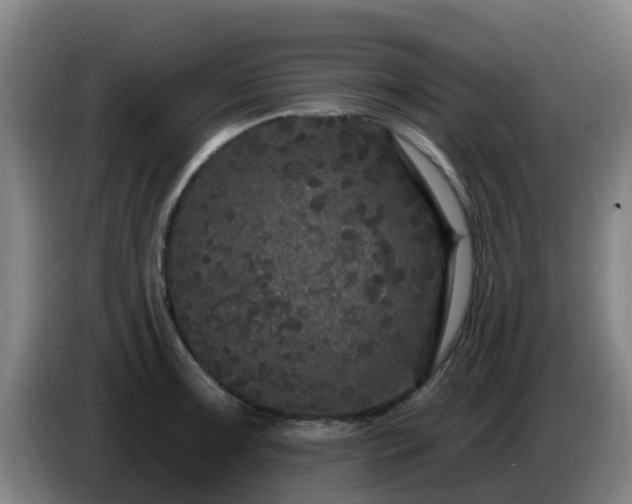 X0000086731091200704201641