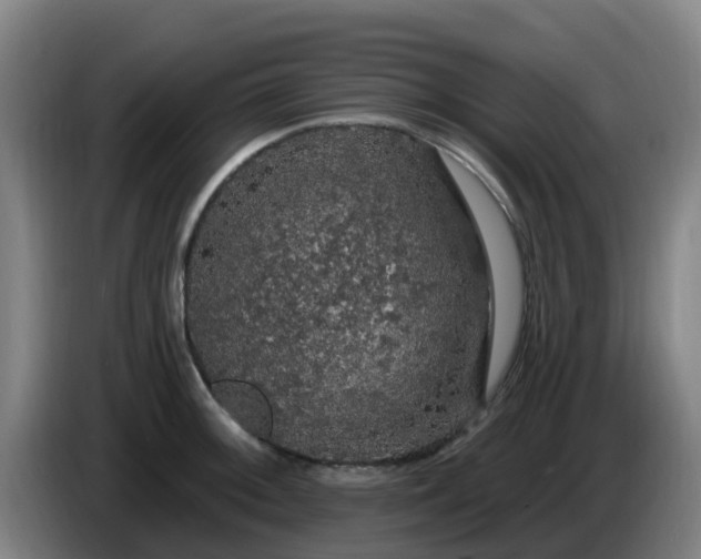 X0000086731092200704201641