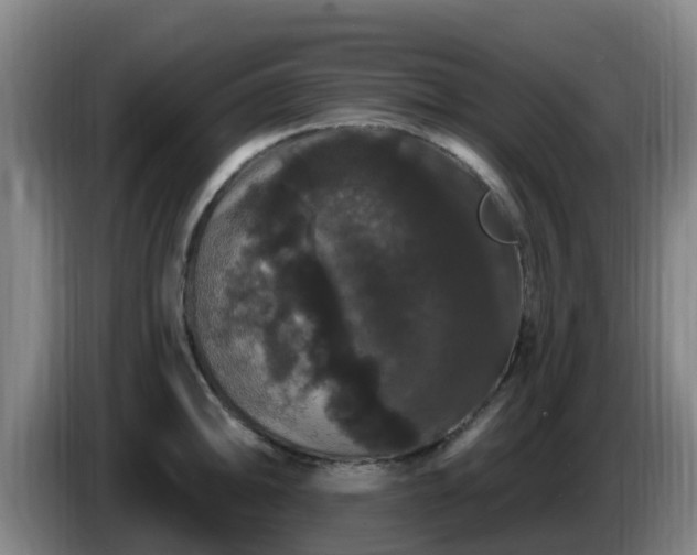 X0000086731094200704201641