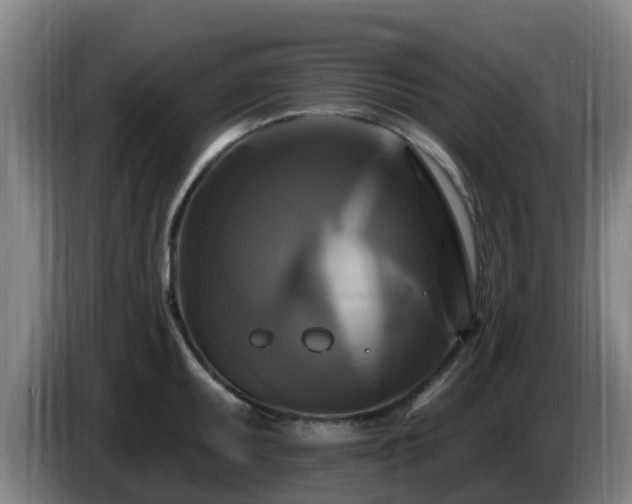 X0000086731095200704201641