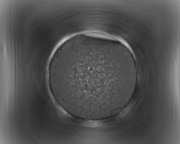 X0000086731096200704201641