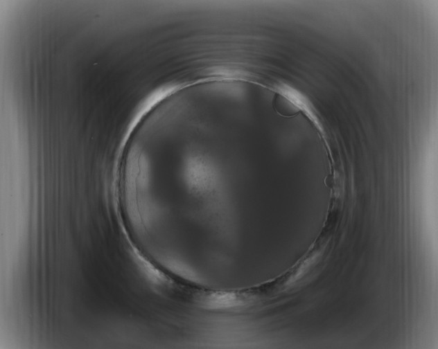 X0000086731098200704201641