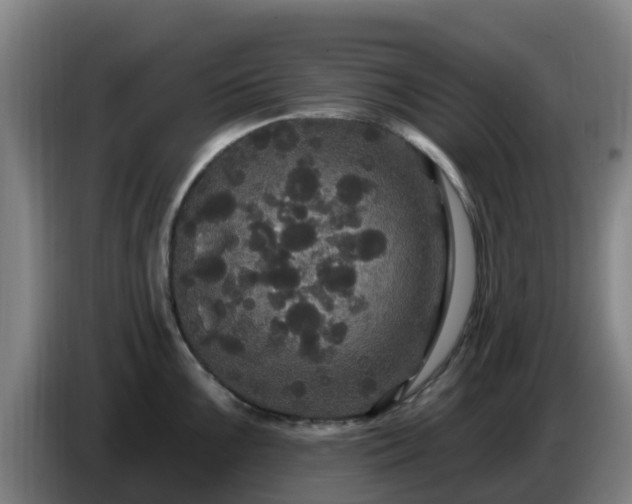 X0000086731099200704201641