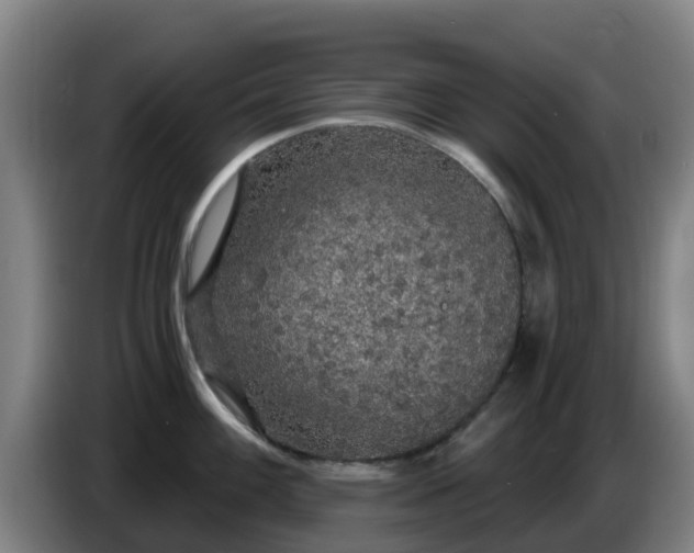 X0000086731100200704201641