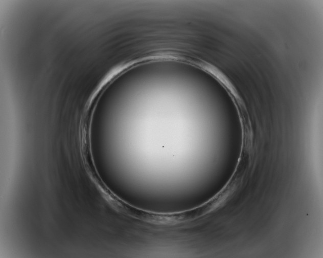 X0000086731101200704201641