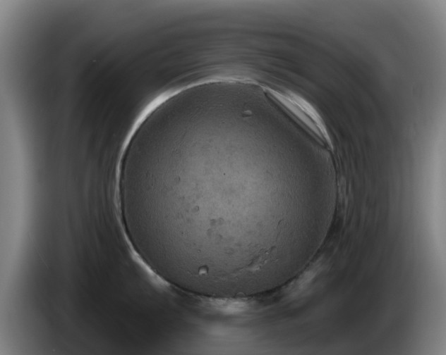 X0000086731103200704201641