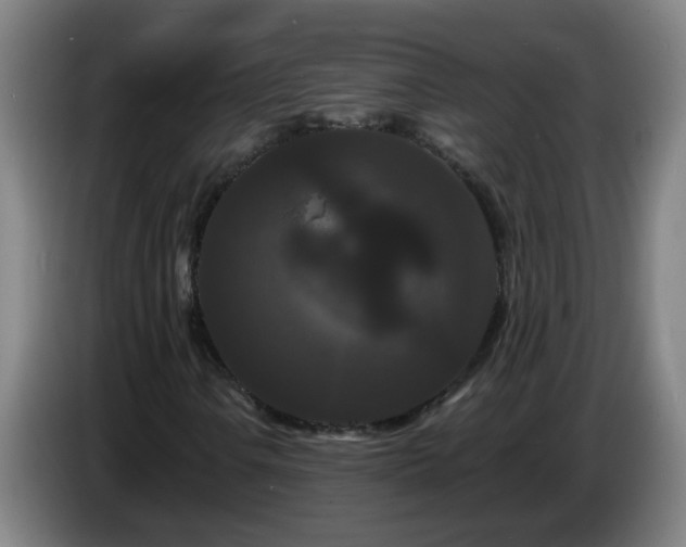 X0000086731106200704201640