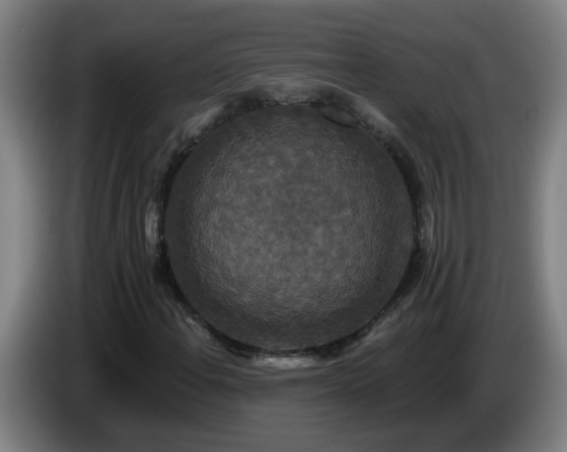 X0000086731108200704201640