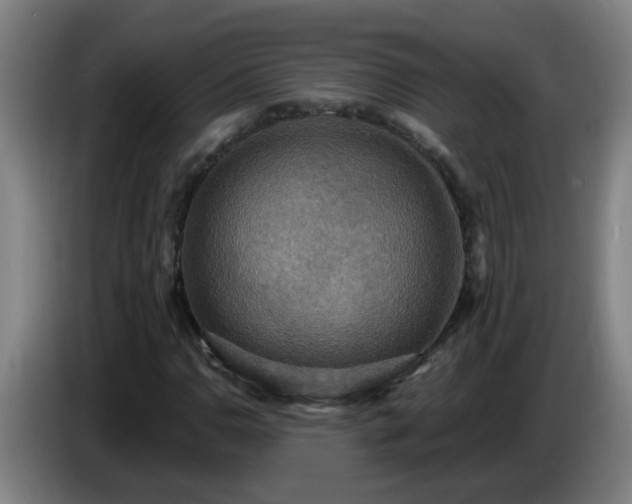 X0000086731110200704201640