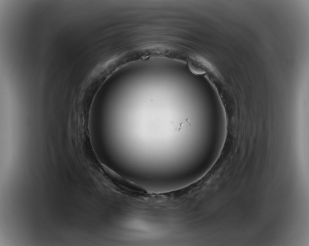 X0000086731111200704201640