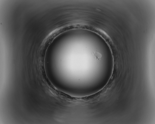 X0000086731112200704201640