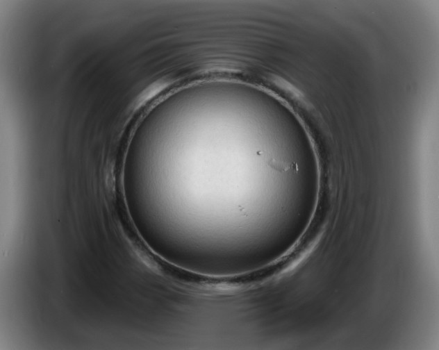 X0000086731113200704201640