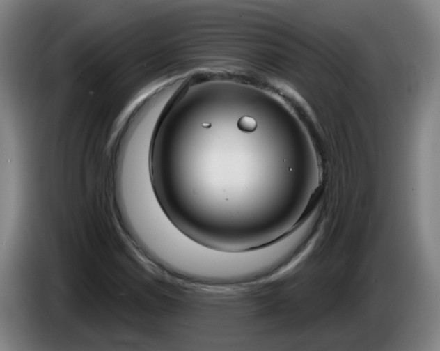 X0000086731114200704201640