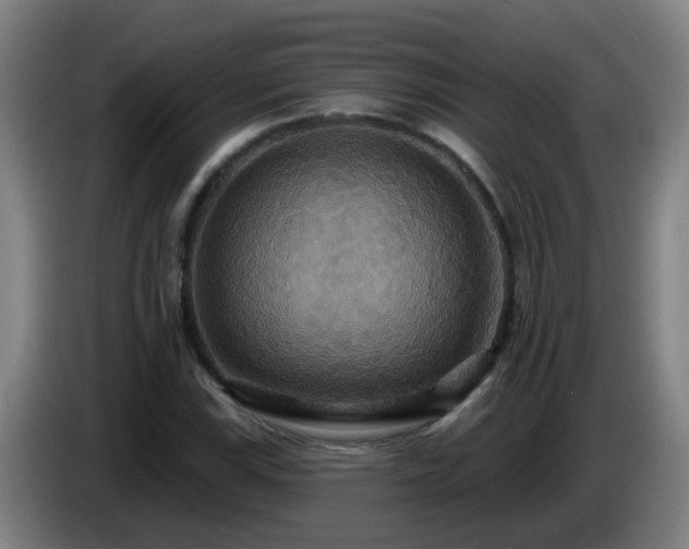 X0000086731115200704201640