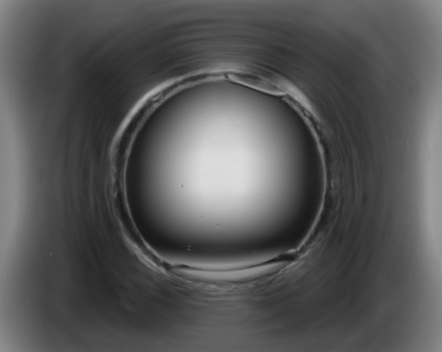 X0000086731116200704201640