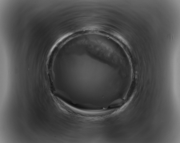 X0000086731117200704201641