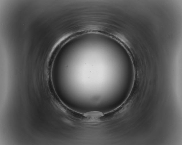 X0000086731119200704201641