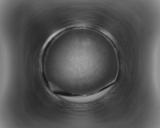 X0000086731120200704201641