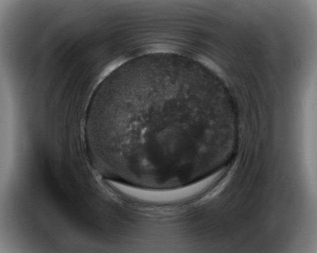 X0000086731121200704201641