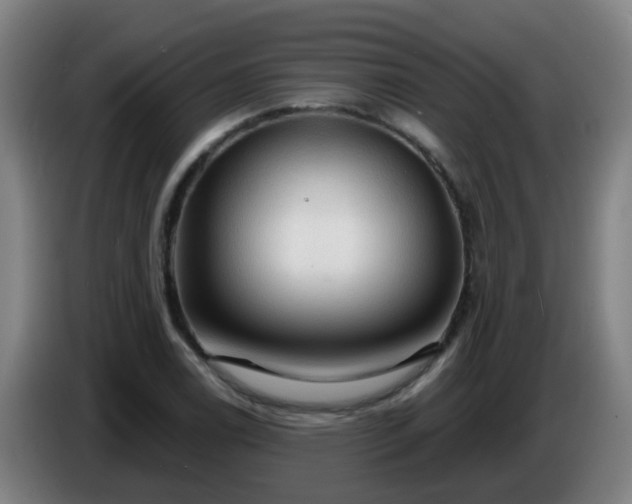 X0000086731122200704201641