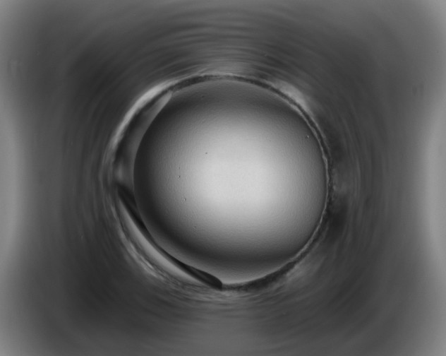 X0000086731123200704201641