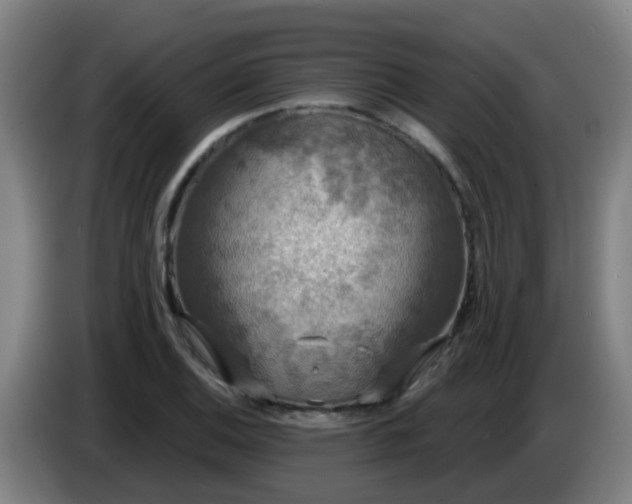 X0000086731124200704201641