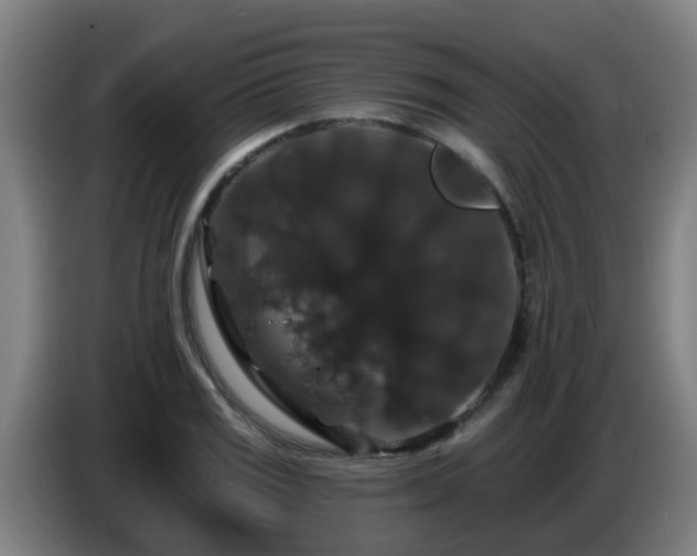 X0000086731125200704201641