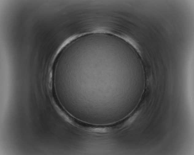 X0000086731126200704201641