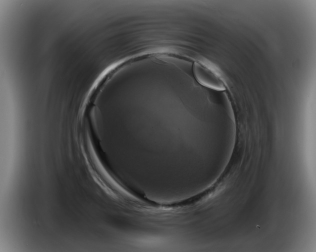 X0000086731127200704201641