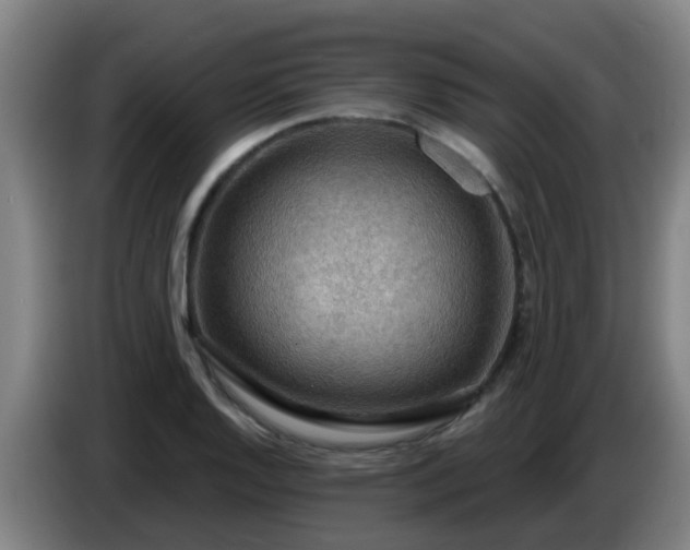 X0000086731128200704201641