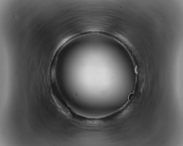 X0000086731129200704201641