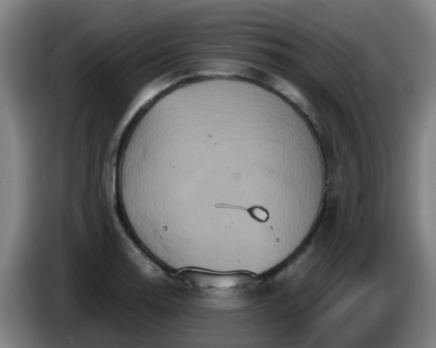 X0000086731130200704201641