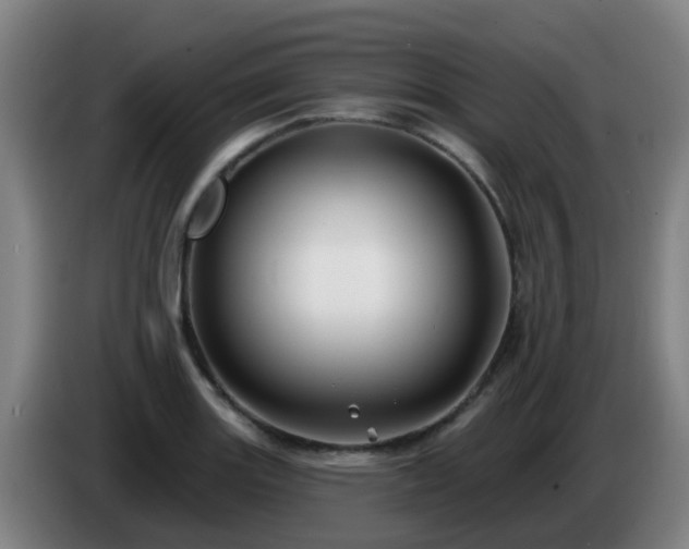 X0000086731131200704201641