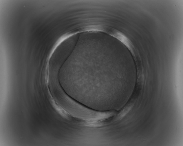 X0000086731132200704201641