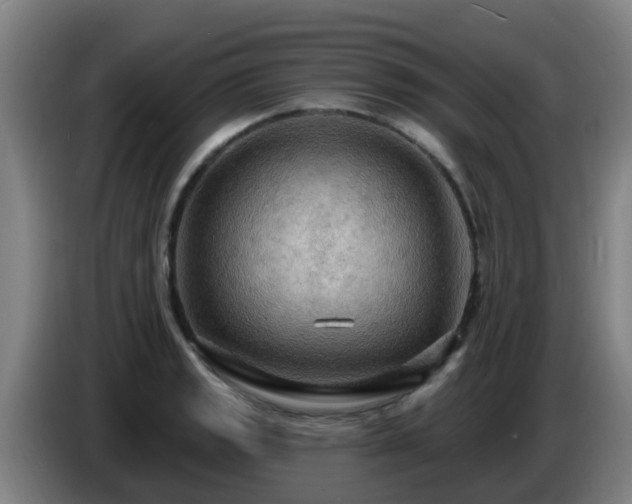 X0000086731133200704201641