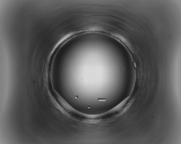 X0000086731134200704201641