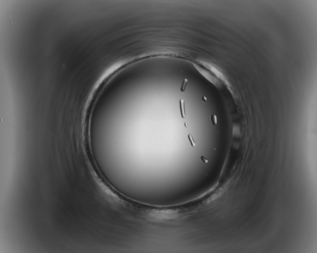 X0000086731135200704201641