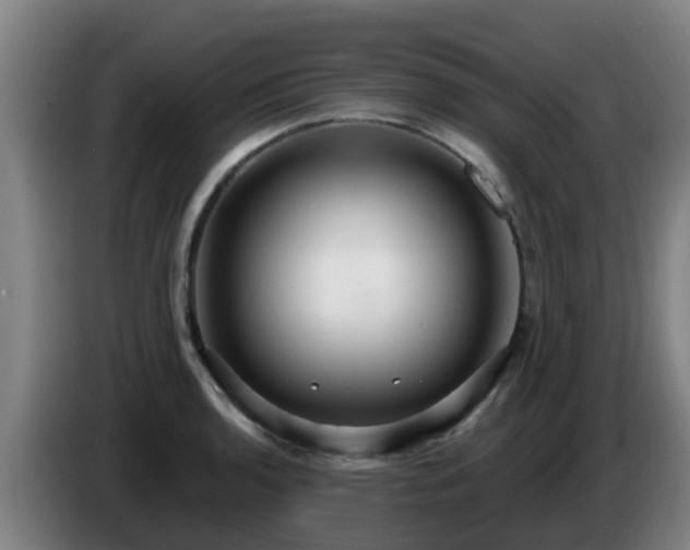 X0000086731136200704201641