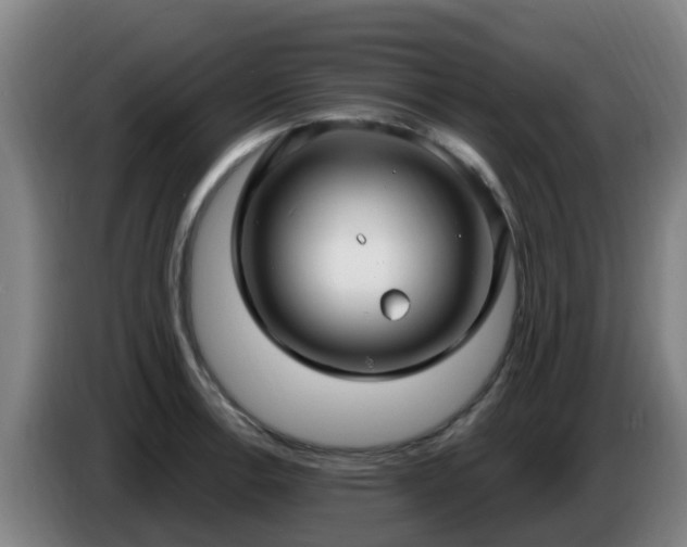 X0000086731138200704201641