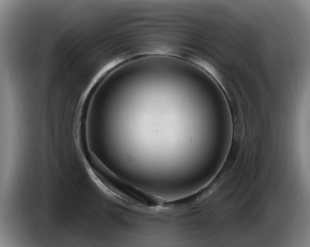 X0000086731139200704201641