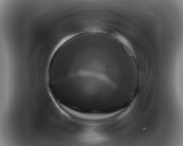 X0000086731141200704201641