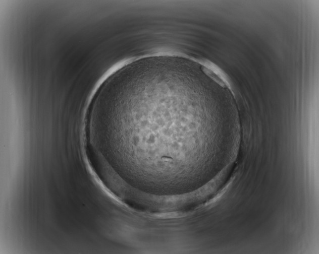 X0000086731142200704201641