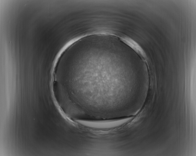 X0000086731144200704201641