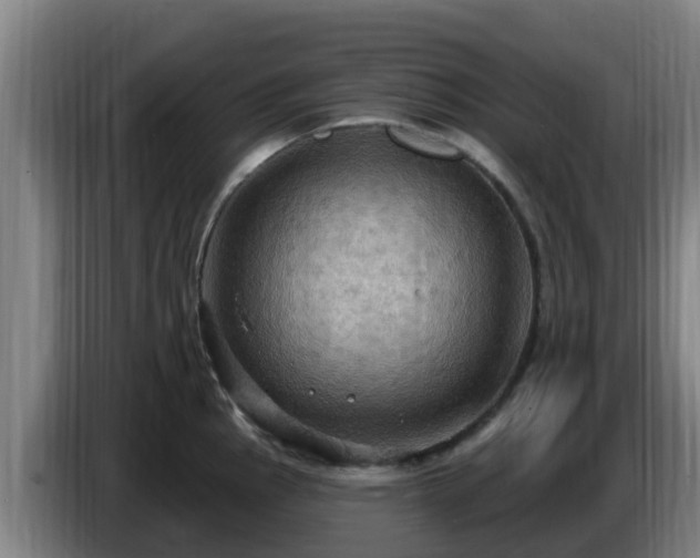 X0000086731145200704201641